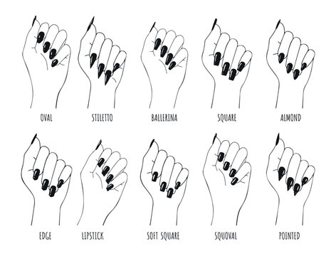 types of nails manicure vector sketch. collection of nail shapes vector drawing. female wrist with black nails vector sketches for nail shapes