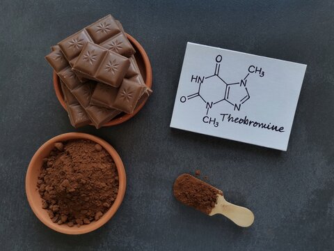 Chemical formula of theobromine molecule with dark chocolate and cocoa powder. Theobromine is an alkaloid compound found naturally in the cocoa plant. Cacao and chocolate as sources of theobromine.
