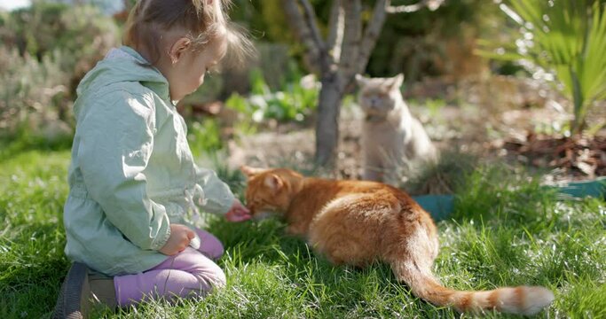 Cute child girl sitting on lawn and feeding cats in spring backyard garden