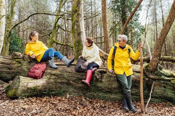 Group of friends resting with backpacks in forest. Trekking travel in adventure lifestyle, nature hiking in vacation holiday with journey. Tourism, hiking, and friendship concept. Outdoor activities.