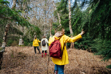 Group of friends walking with backpacks in forest. Trekking travel in adventure lifestyle, nature...