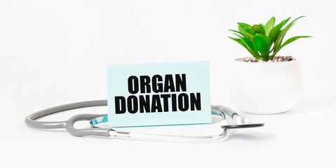 Organ donation awareness concept with note, stethoscope, and plant on white background.