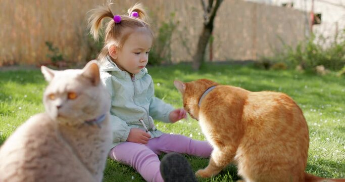 Cute child girl sitting on lawn and her cats in spring backyard garden