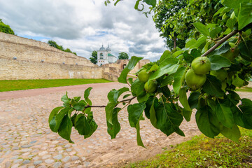 Izborsk fortress, Izborsk, Pskov region, Russia