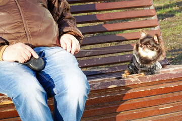 An elderly man sits on a bench with his dog.