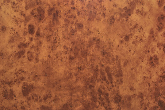Wooden burl texture, amboyna wooden burl texture