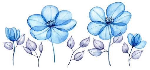 watercolor set of transparent flowers and leaves. transparent blue flowers in pastel colors....