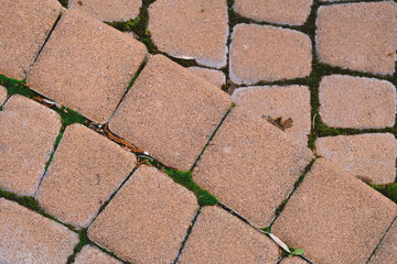 Close Up of Brick Walkway With Grass Growing