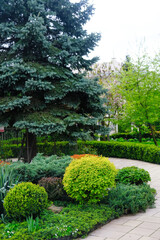 Lush Green Garden With Abundant Plants and Trees