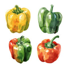 Watercolor painting vector of set bell pepper, isolated on a white background, bell pepper vector, clipart Illustration, Graphic logo, drawing design art, clipart image
