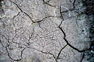 dry soil with cracks