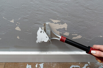 Removing silicone paint from a wall damaged by dog claws using a paint and adhesives scraper,...