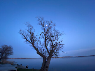 Fototapeta na wymiar City Shoreline of Lake Monona in Madison Wisconsin after sunset