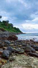 seashore with a rocky beach of coral, green plants and palm trees in the distance