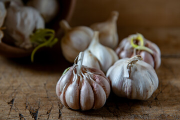 Organic garlic on rustic wooden table. Food background.