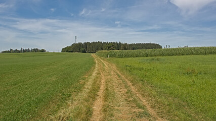 Fototapeta na wymiar Dirtroad between meadows and corn fields in Ardennes, Wallonia, Belgium 