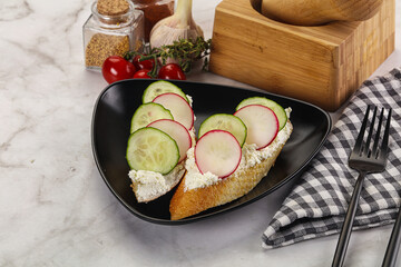 Bruschetta with soft cheese and radishes