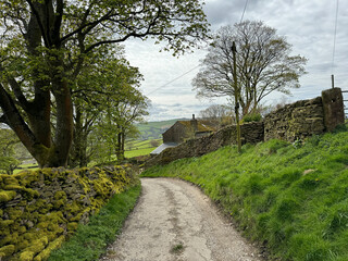 Back Lane is a quaint dirt path, winding between  moss-draped stone walls, trees, and old stone buildings, nestled in the rural landscape of Cononley, Yorkshire, UK.