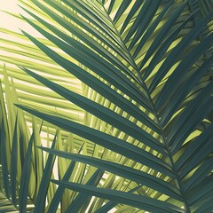 Bright and Lush Palm Leaf Silhouette with Tropical Ambiance