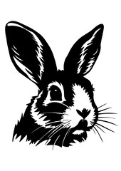 Bunny face, outline. Black vector illustration