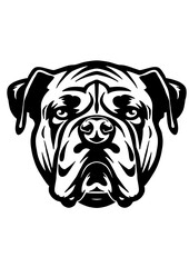 Bull dog face, outline. Black vector illustration