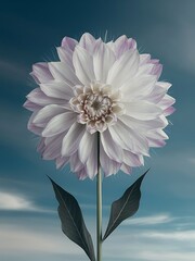 shows an elegant flower against a blue sky background, in the style of multiple exposure