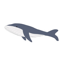Sea Whale