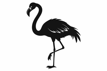 Flamingo Black Silhouette on White Background.