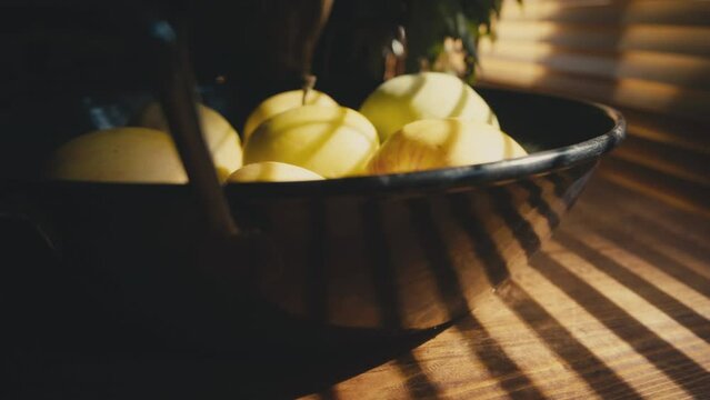 Yellow apples on a metal plate with stripes of sunlight coming through window blinds. Cinematic slow motion studio shot. Sunset, golden hour moody interior. Still nature. High quality 4k footage