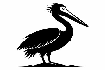 Pelican Black Silhouette on White Background.