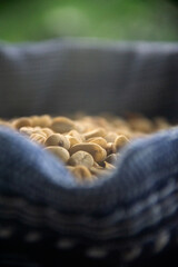 A close-up of coffee seeds in a wool bag