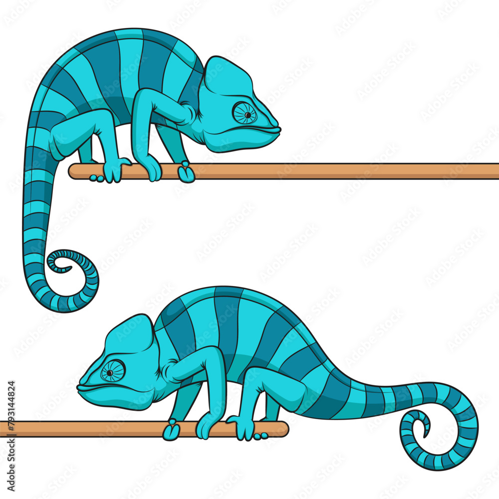Poster set of color illustrations with blue chameleon. isolated vector object on white background.