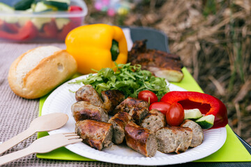 Sliced grilled sausages lie on a plate with tomatoes, paprika, herbs and bread. Picnic lunch.
