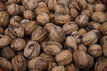 Novafeltria: Festa della vendemmia e dei frutti d'autunno