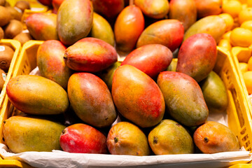 Fresh colorful tropical mangoes on display at outdoor farmers market. Ripe fruits on open market. Healthy, diet and food concept. - obrazy, fototapety, plakaty