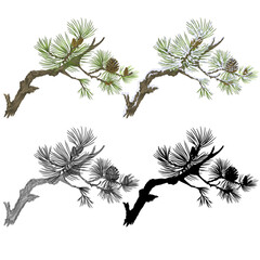 Pine branch with snow and pine cones and  as vintage engraving and silhouette set  nine vector illustration editable hand drawn