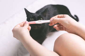 Pregnancy test with a cat in the background