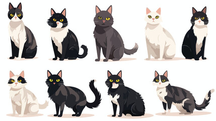 Vector Breed cats in different poses. 2d flat carto