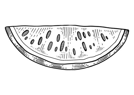recommend clip art: Watermelon fruit plant slice sketch engraving PNG illustration. Scratch board style imitation. Hand drawn image.