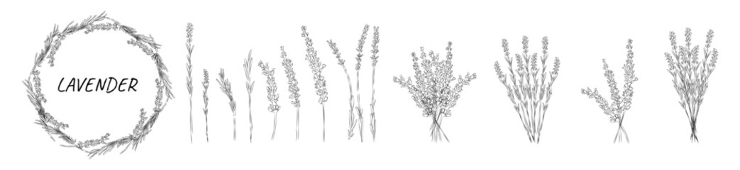 Set with lavender hand-drawn © Meggi