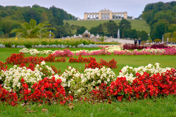 Schoenbrunn Palace Garden Flowers Vienna Austria. The flowers and gardens, with the Gloriette in the background, on the grounds of Schonbrunn Palace. Vienna, Austria.

