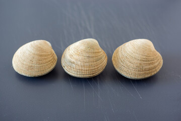 three clams on the bottom of a grey board 