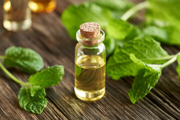 A glass bottle of aromatherapy essential oil with fresh peppermint