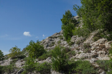 paesaggio desertico
