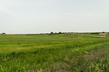 paesaggio rurale