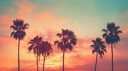 Fototapeta na wymiar Soft pastel hues paint the sky as tropical palm trees stand tall in a peaceful sunset scene