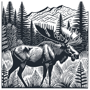 North American moose in the forest. Vector illustration