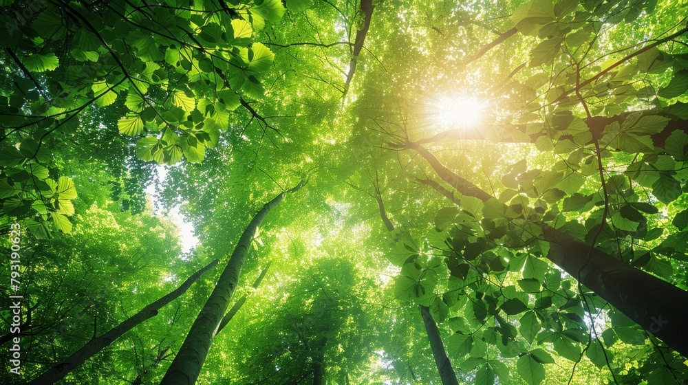 Poster A forest canopy bursting with vibrant green leaves creating a refreshing and calming backdrop for a restful slumber. 2d flat cartoon.