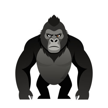 Cute gray gorilla is standing on a white background