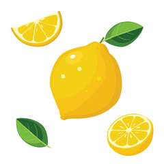 Lemons isolated on white background. Vector illustration. 